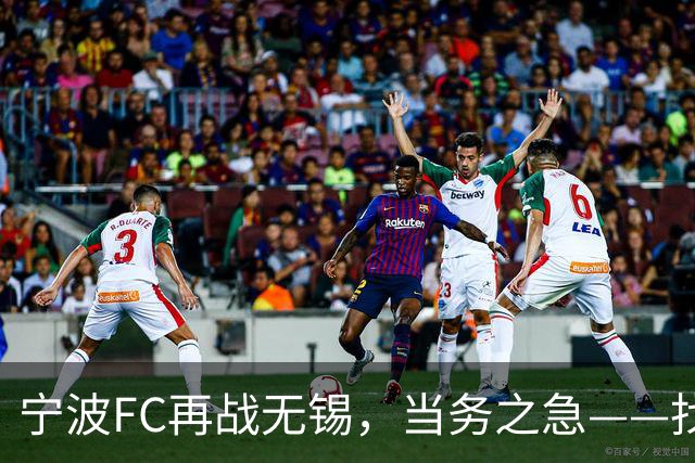 宁波FC再战无锡，当务之急——找到外援托莫维奇的使用说明书